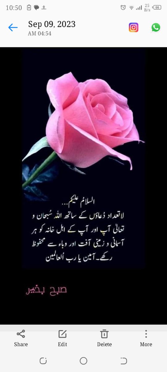Nisha Khan tweet media