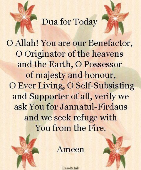 Dua 🧡