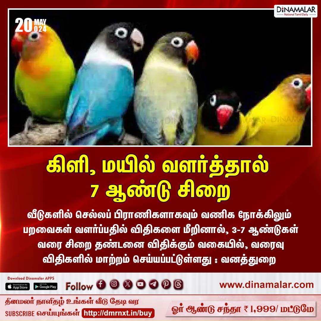 கிளி, மயில் வளர்த்தால் 7 ஆண்டு சிறை
#parrots | #peacocks | #ForestDepartment | #pets
dinamalar.com