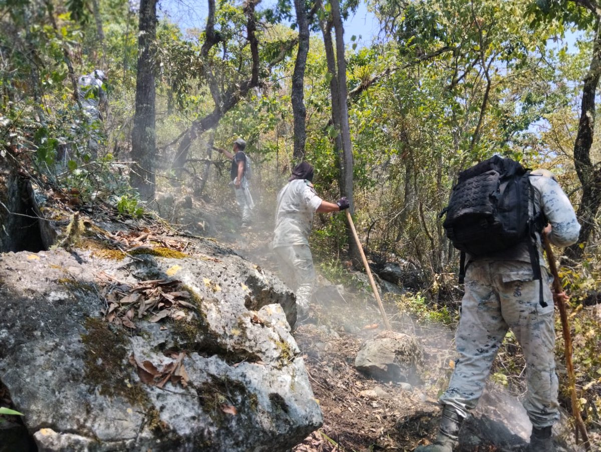 La #GuardiaNacional mantiene activo el #PlanGN_A de auxilio a la población, para sofocar el incendio forestal registrado en Tula, #Tamaulipas. En la zona se colabora con el #EjércitoMexicano y autoridades de protección civil.