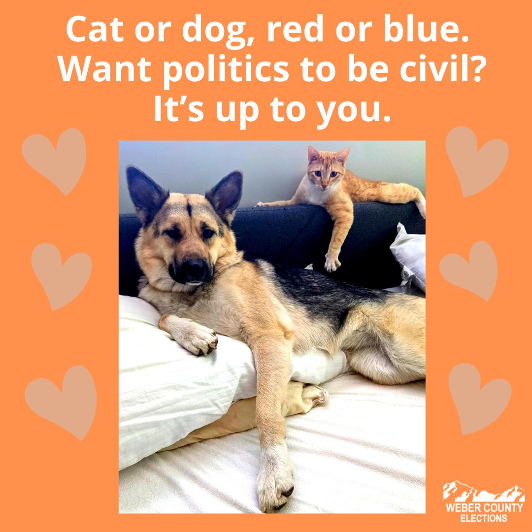 Cat or dog, red or blue. Want politics to be civil? It's up to you.
#catmemes #dogmemes #PSA #themoreyouknow #weberelections #webercounty #utpol #electionsutah #utahelections