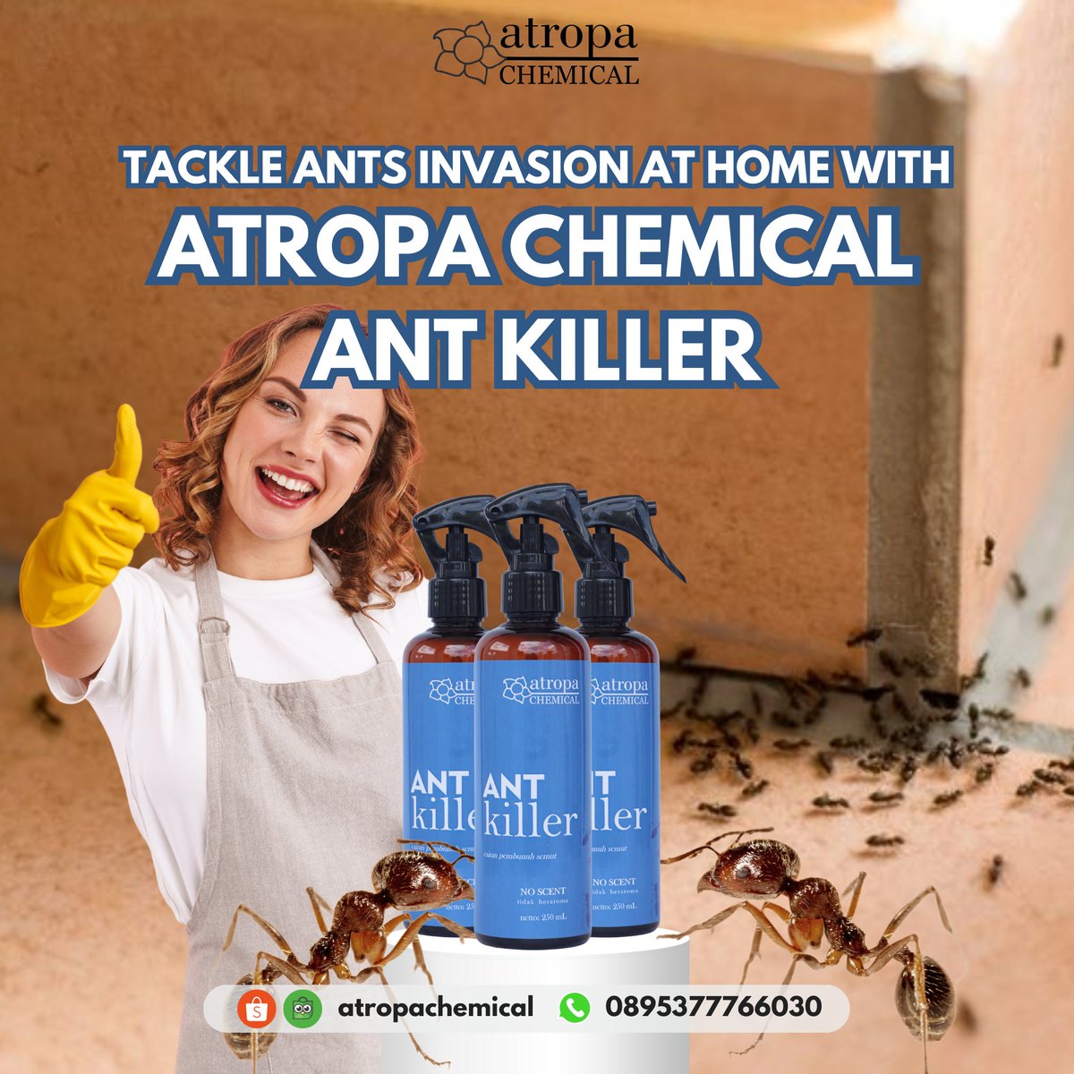 atropachemical's tweet image. Semut di rumah bisa menjadi masalah besar, ya kan #ATROFAM?

Tapi jangan khawatir, Atropa Chemical Ant Killer hadir sebagai solusi yang efektif untuk menghadapinya. Ikuti tips kami dan raih rumah yang nyaman tanpa gangguan semut! 🐜🚫 

#AntKiller #AtasiSerbuanSemut
1/2
