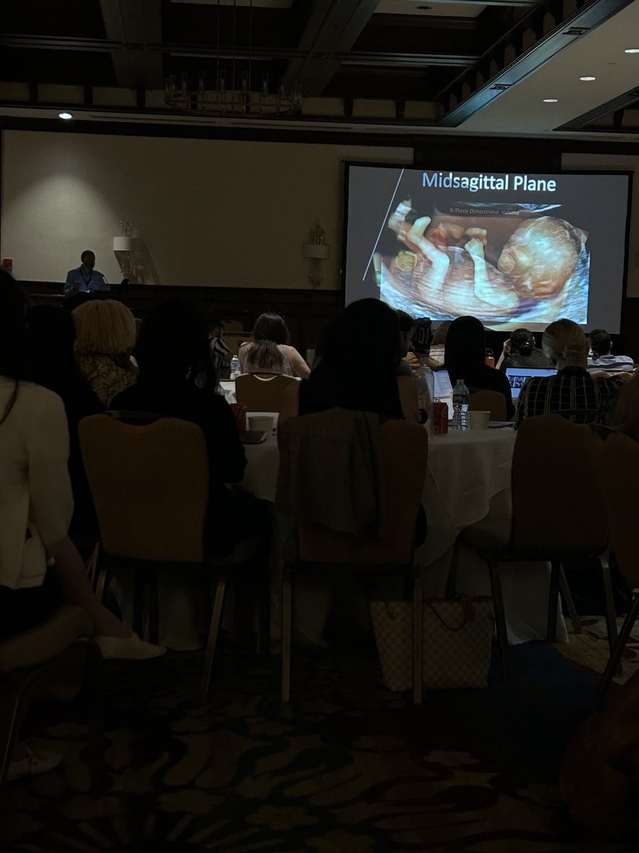 ⁦<a href="/AlfredAbuhamad/">Alfred Abuhamad</a>⁩ lectures on the first day of the GOHO fellows ultrasound course.