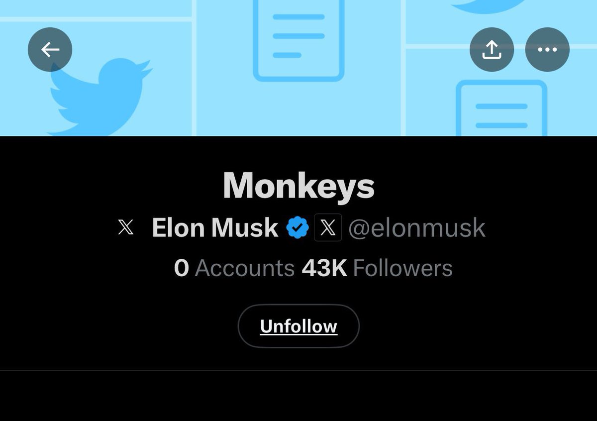 Elon Musk has a list called 'Monkeys' on 𝕏 🐒