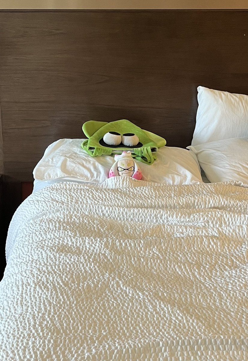 Went to my friend’s hotel room and saw they tucked in the gremlin.