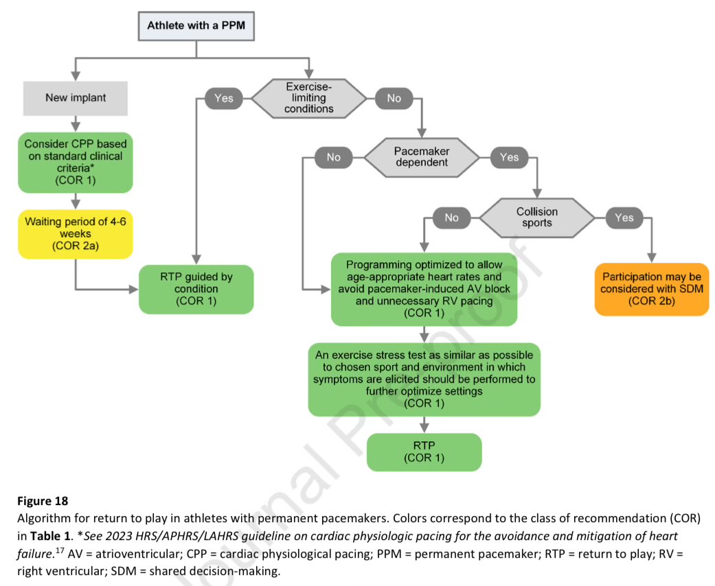 ⚠️2024 @HRSonline expert consensus 📝 on #arrhythmias in the #athlete: Evaluation, treatment, and return to play‼️ ❤️&🔁 👇🏼 #Epeeps #PositionPaper #sportcardiology