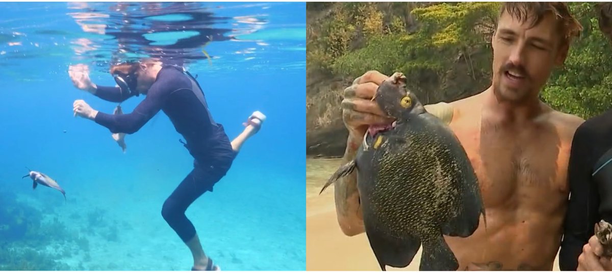 Dios mío, ¿pero eso es un pez o un monstruo marino? 🤣 

Gran pescador, mejor superviviente 😌

#ConexiónHonduras11 #TeamGorka 🌀