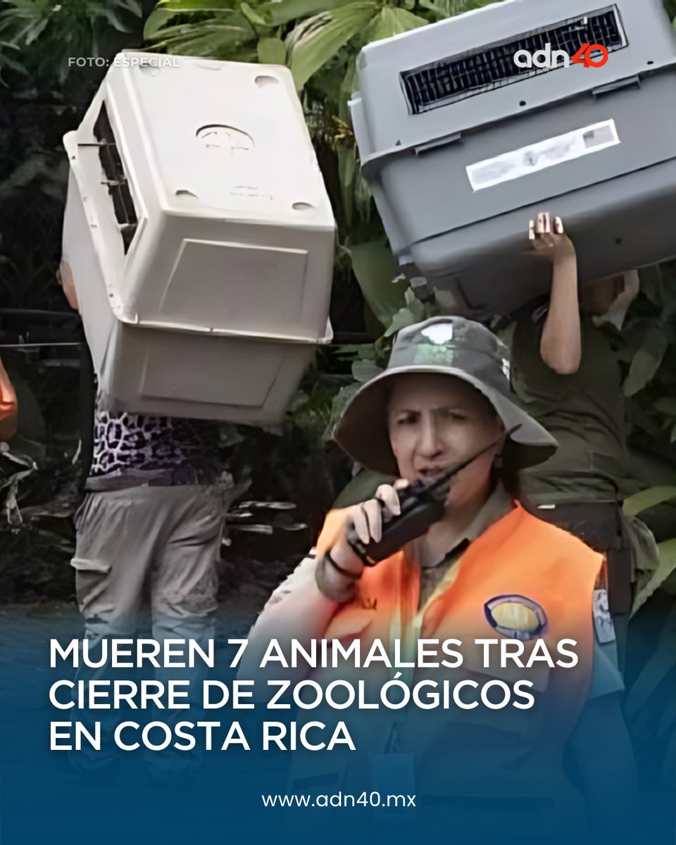 ¡No puede ser! 😕 Mueren 7 animales tras cierre de zoológicos en #CostaRica; habían sido trasladados a santuarios para que vivieran en condiciones similares a su hábitat 😔
