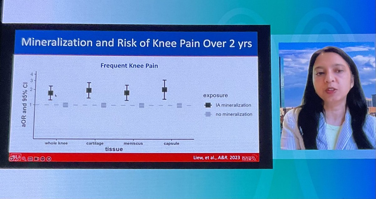 Intraarticular knee mineralization associated with knee pain in MOST study from <a href="/Tuhina_Neogi/">Tuhina Neogi, MD, PhD</a> citing study lead by my wonderful friend <a href="/rheum_cat/">Rheum Cat</a> #ARANZRA2024 <a href="/AusRheum/">AusRheum</a>