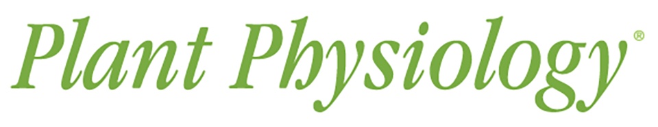 NAASC thanks @PlantPhys @YundeZhao for their sponsorship of the #ICAR2024SanDiego session 'From Arabidopsis to Crops: Unveiling the Secrets of Elemental Nutrient Uptake, Allocation, & Biofortification' organized by Pedro Humberto Castro, Christian Dubos, & Nijat Imin! @nijat_imin