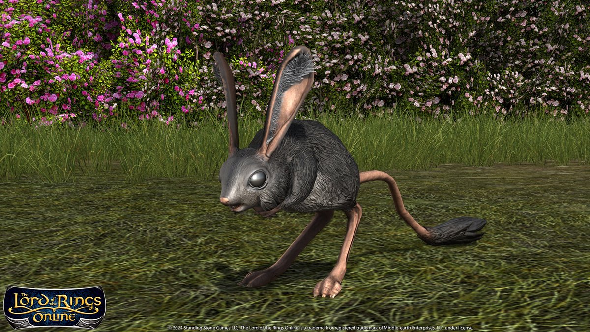 LOTRO tweet media