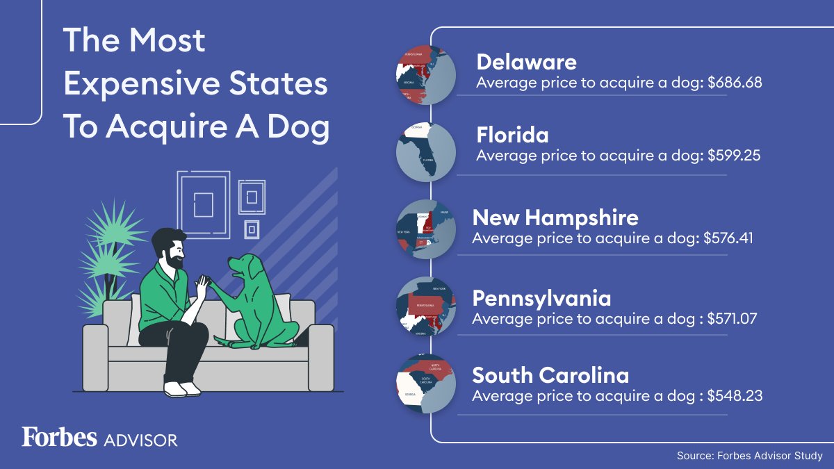 Here are the most expensive states to acquire a dog.
👉 on.forbes.com/6010d1p4i
