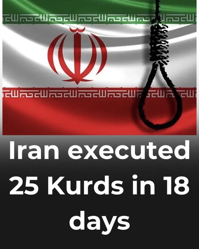 Quan parlem del biaix informatiu a les informacions d’internacional: avui heu vist el ressò que té la desaparició de l’helicòpter del senyor president iranià i la seva cort… però ningú havia considerat oportú informar que en 18 dies el seu govern havia executat 25 kurds.