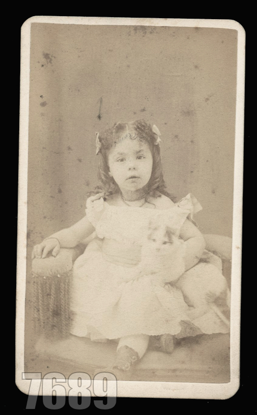 For sale! Little girl holding a cat, original 1870s photo (4' x 2.5'). $125.00, Free US shipping, PayPal. ***** Comment with 'SOLD' to claim, and I will DM you with my payment link.