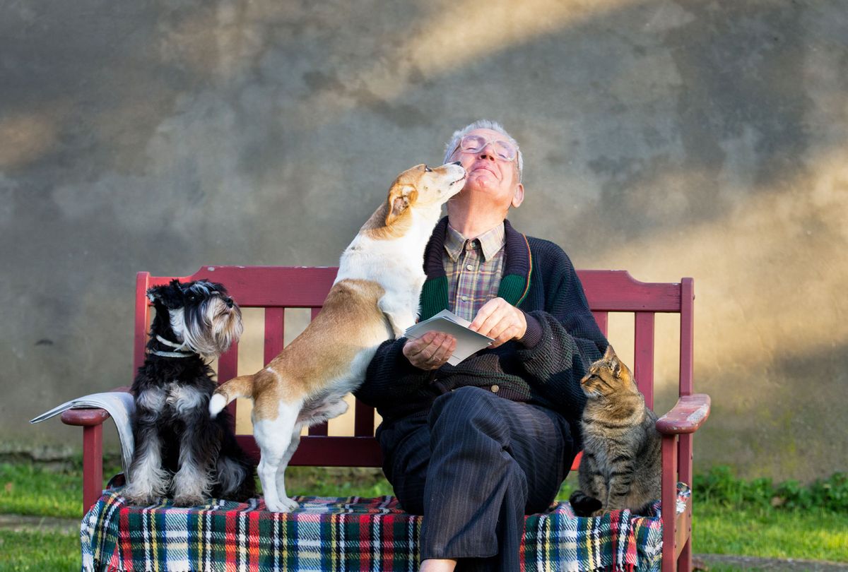 #Dogs and #cats can slow cognitive decline in seniors, new study finds salon.com/2022/02/24/hav… #pets #Alzheimers #dementia