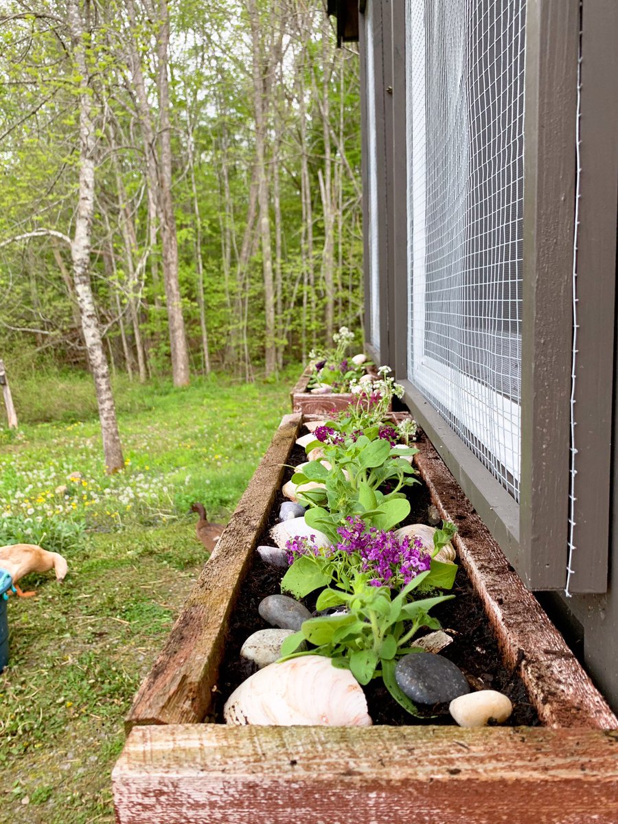 I used to be able to do so much more gardening in one day, but this and one other raised bed are about my limit for today.