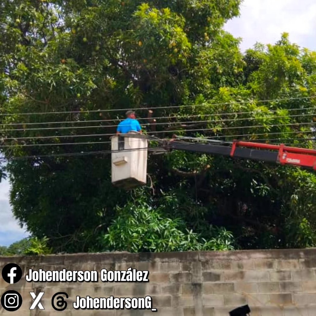 ¡Gracias al 1x10 del Buen Gobierno nuestro Mcpio brilla más que nunca!
El equipo de Asuntos Eléctricos de la <a href="/AlcaldiaFla_/">Alcaldía Francisco Linares Alcántara</a>, cumple con las instrucciones del Pdte. <a href="/NicolasMaduro/">Nicolás Maduro</a> mediante la #Venapp del 1x10, mejorando el Servicio Eléctrico en todas las comunidades.
#YoSigoAMaduro