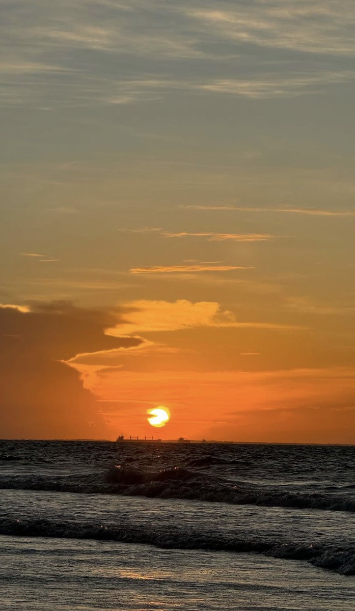 pperritoo's tweet image. 