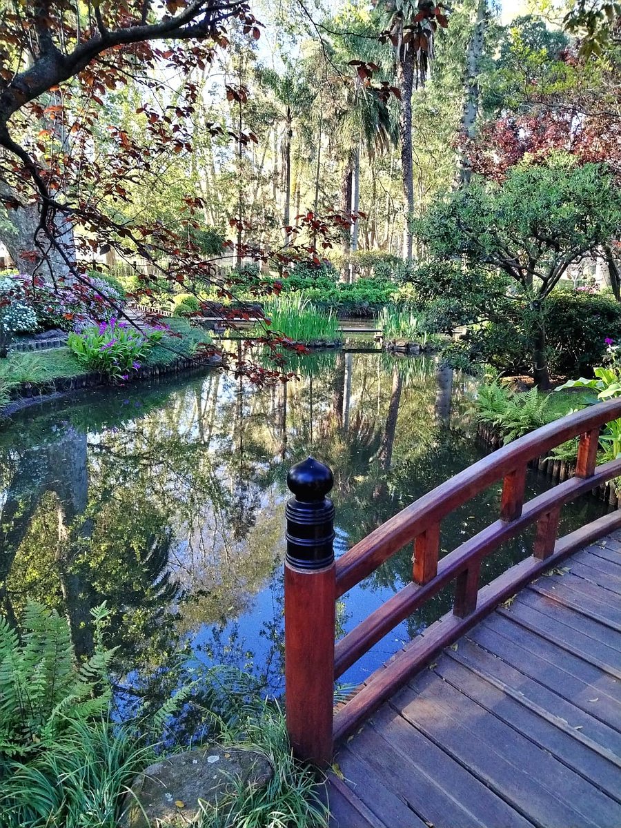 #18 Imágenes del Prado
Jardín Japonés
Fue donado por Japón e inaugurado el 24 de septiembre de 2001.[
Diseñado por el paisajista Haruho Ieda, cuenta con arena, rocas, lago con carpas, cascada, isla, puentes de piedra y madera, caminos de piedra, casa de té, plantas y flores.