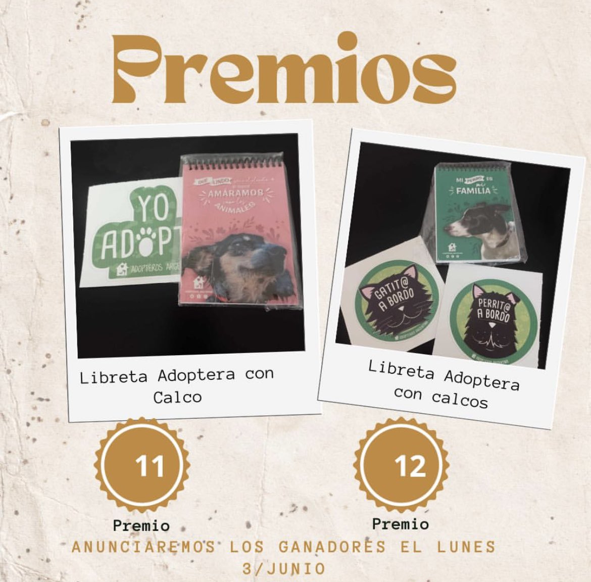 Adopteros Argentina tweet media