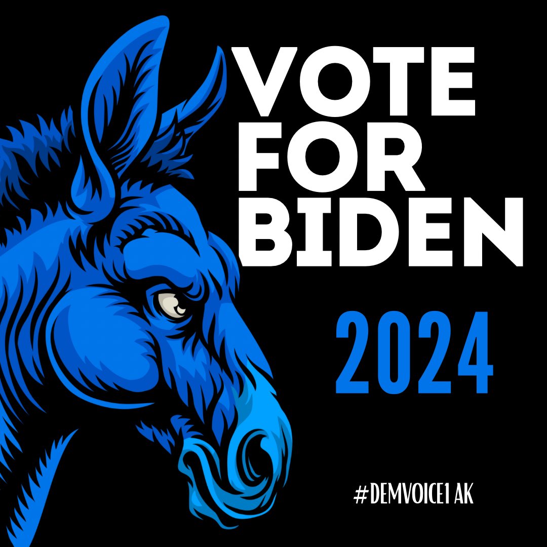 The #BidenBoom is real! We have all experienced it! We have bounced back from Covid, created new better paying jobs, and our infrastructure gets better everyday! Keep it going in 2024! #DemVoice1