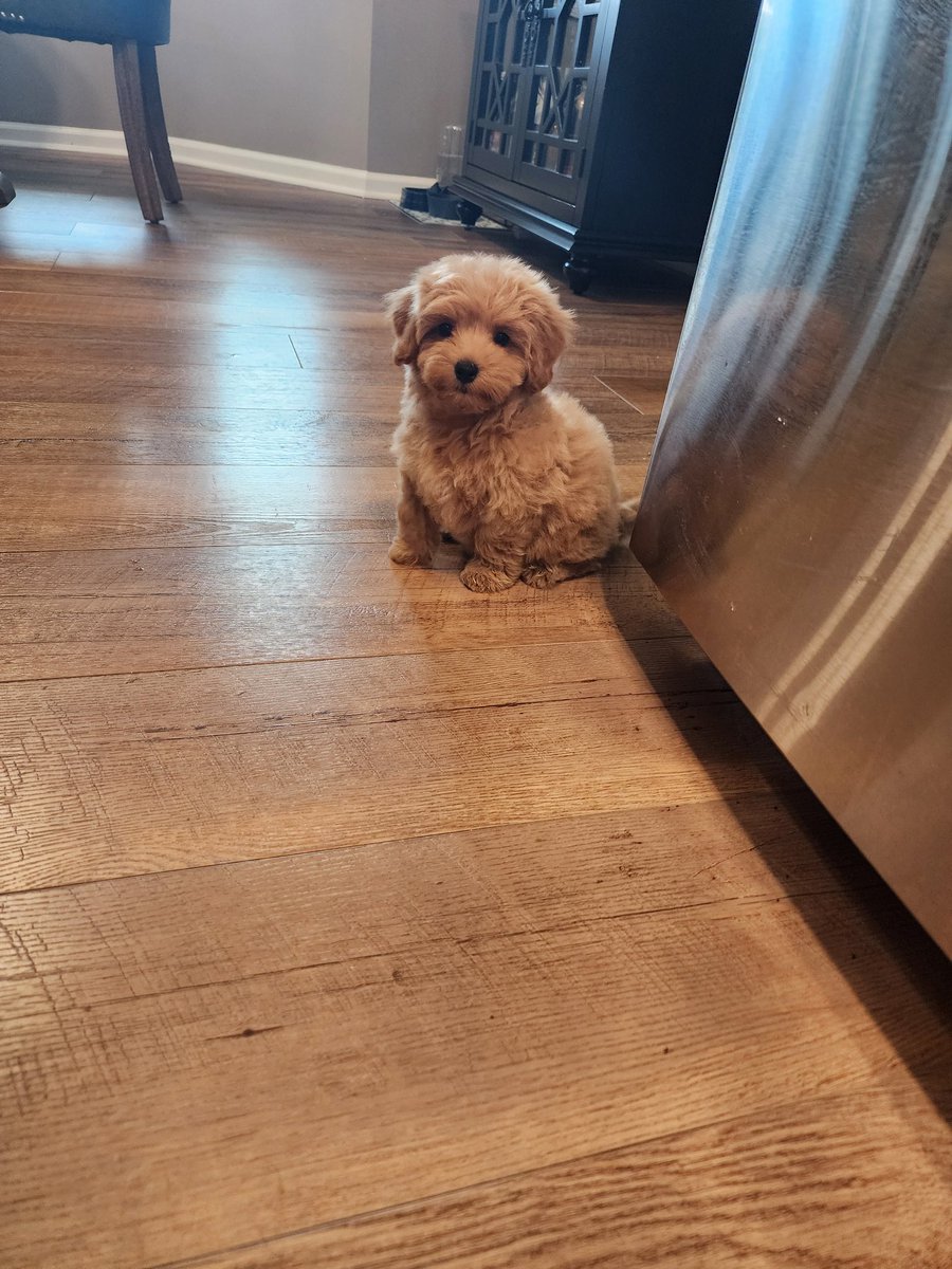 VRKyle's tweet image. Hey everybody! Meet  Charlie Lau! (George Brett's hitting  coach)