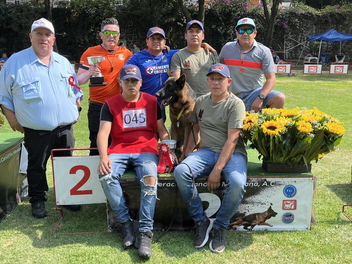 fcm_epam's tweet photo. Categoría Machos de 18 a 24 meses, evaluación a cargo del juez Juan Carlos Ruales de Ecuador 🇪🇨 https://t.co/cEQejPF9vz
