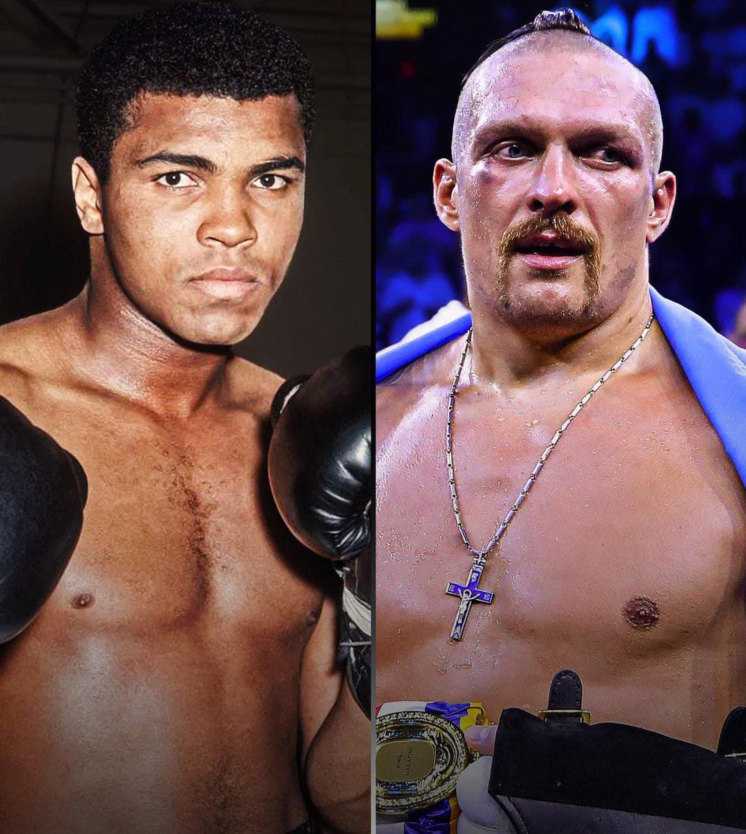 Fun Fact! Muhammad Ali and Oleksandr Usyk have the same Reach (78 in), the same height (6'3'), and the same Birthday (Jan 17th). Coincidence? 🥊 #Boxing #UFC #Sports