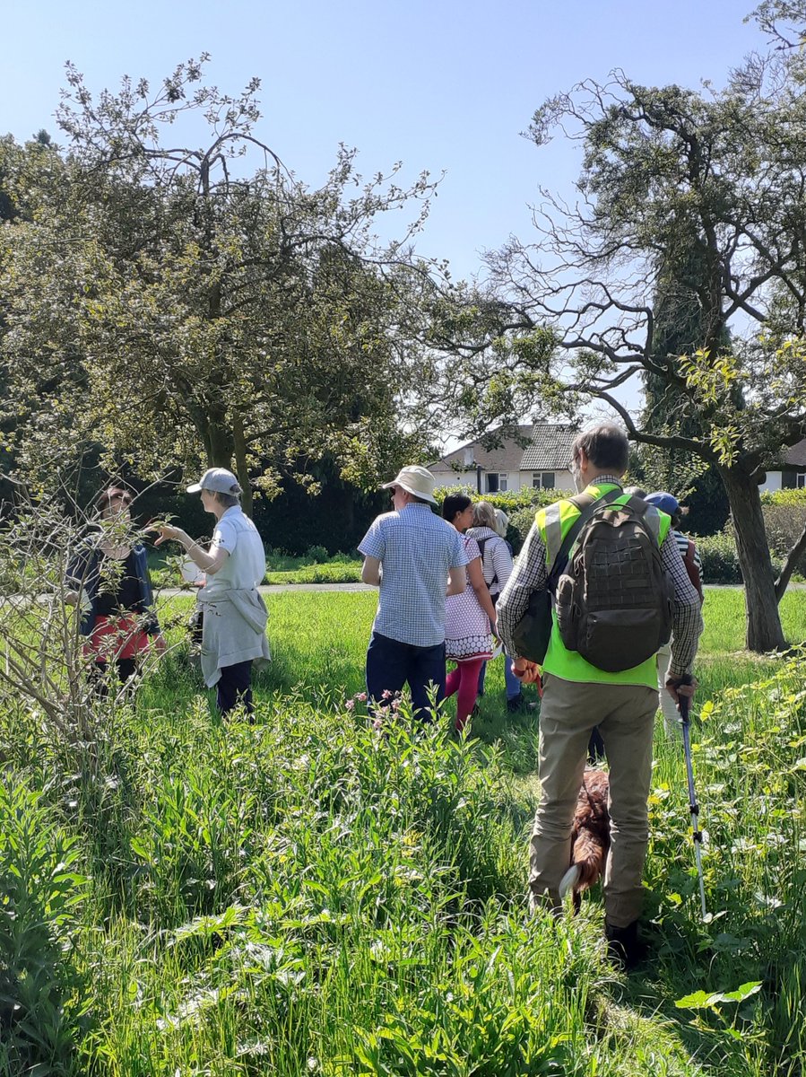 Solihull Tree Wardens tweet media