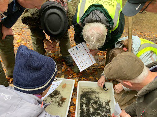 It’s Sefton Park’s 152nd birthday on Monday 20th May 🎉🥳👏🍾🌳 We’re setting up a citizen science station at the cafe by Eros 4.30pm-6pm where we’ll check out tiny life from the park’s watercourse🔍 This is followed by a tree & bee walk 6-7.30pm (it’s also World Bee Day!)
