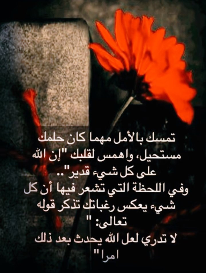 ٠٠٠٠ tweet media
