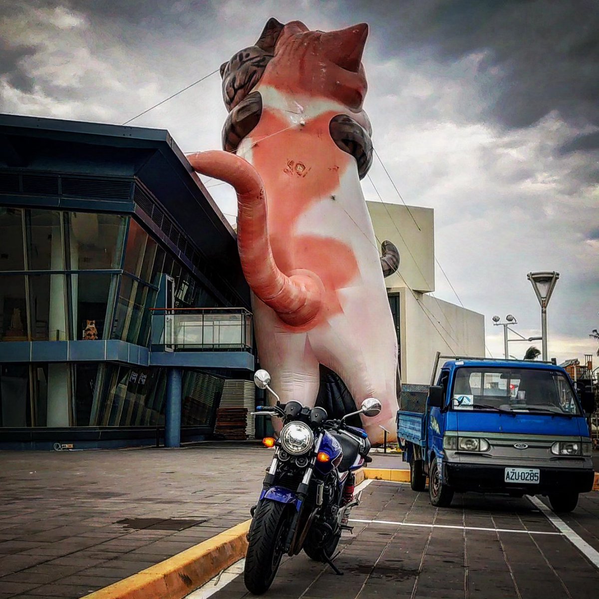 et2181411's tweet photo. 巨大的貓咪造型氣球真的很可愛呢
已感動(´；ω；`)

#ホンダ #honda #cb400sf #shoei #rstaichi #gopro9 #tanax #motofizz #cardopacktalkedge #バイク #バイク旅 #バイク男子 #バイク写真部 #バイク乗り #バイクが好きだ #バイクのある風景 #バイク好きな人と繋がりたい #極度日常 https://t.co/thtO3AHbBl