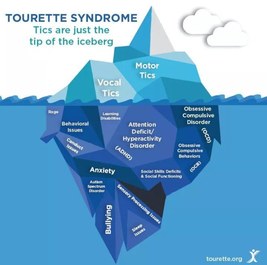 May 15 - June 15 is Tourette Syndrome Awareness month. I will continue to share information to raise awareness and stop the stigma. 💚💙 💚