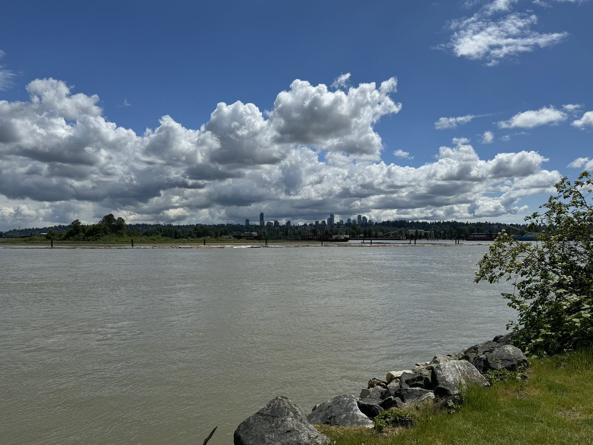 Sapperton is a beautiful stretch of the Fraser River here in New West, BC. My heart is ready for a change, and my soul craves a new locale. I feel restless as fuck. 🙃