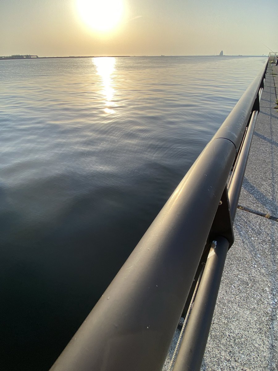 XOa0RfZt9hkzYJc's tweet image. おはようございます。

今週も
ﾖﾛｼｸお願いいたします。

＃ｶｺｳﾐ