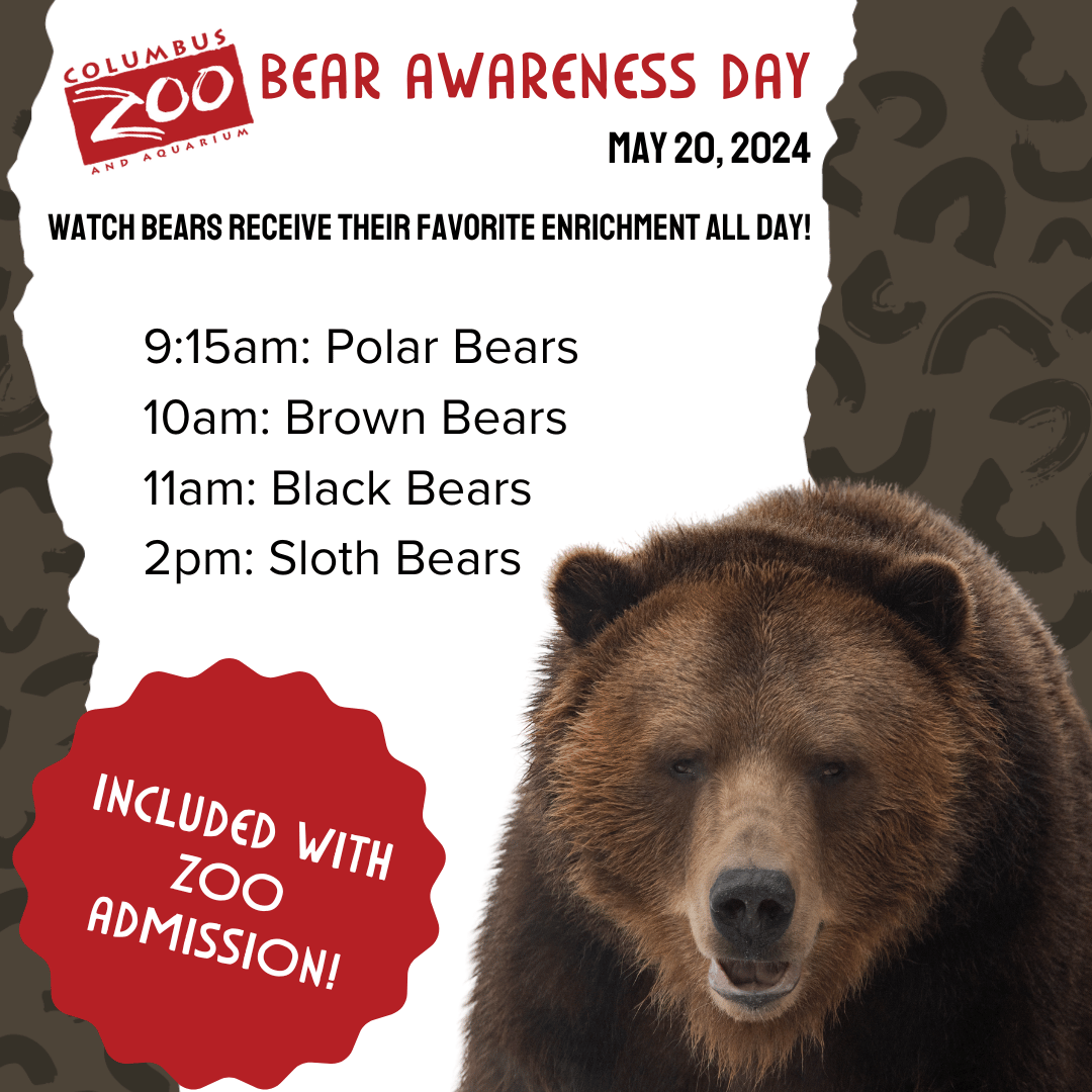 Join us at the Columbus Zoo tomorrow, May 20, for Bear Enrichment Day! Polar bears, brown bears, black bears, and sloth bears will be receiving their favorite enrichment throughout the day, and you can join in the fun. This event is included with Zoo admission! 🐻