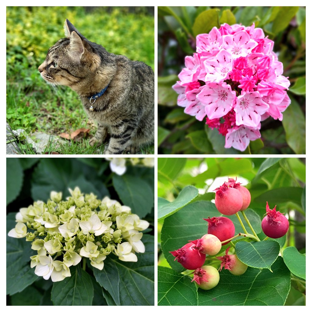 おはようございます

雨の月曜日
今日も良い1日を🍀