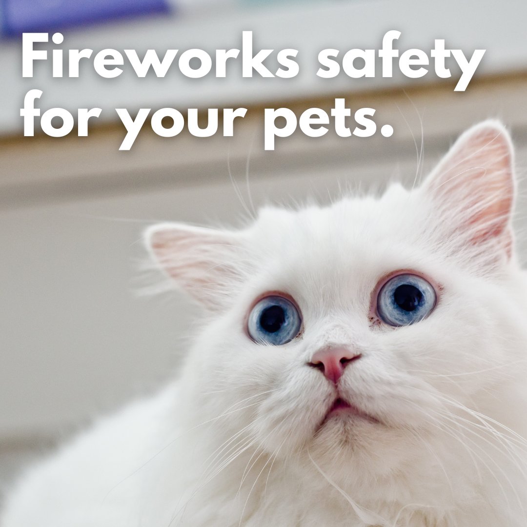 Are your pets scared of fireworks? Here are some tips🎇⬇️ ✔️Stay indoors (close windows and doors) ✔️Turn on the radio/TV ✔️Place blankets over crates to muffle loud noise ✔️Play to tire them out ✔️Distract your pet with new toys or treats
