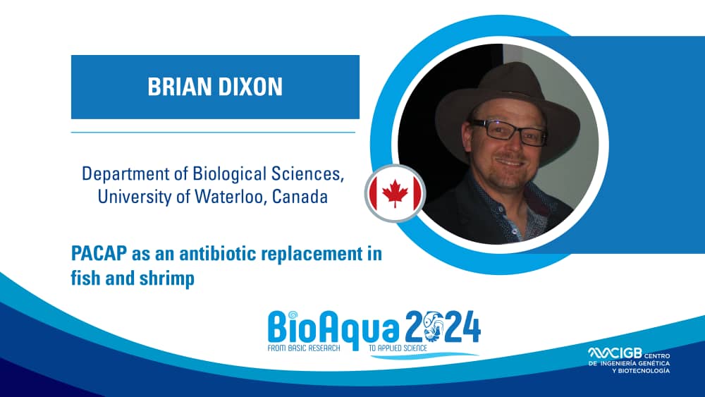 'PACAP as an antibiotic replacement in fish and shrimp' es la conferencia que presentará Bryan Dixon, de la Universidad de Waterloo, Canadá 🇨🇦, en #BioAqua2024.
