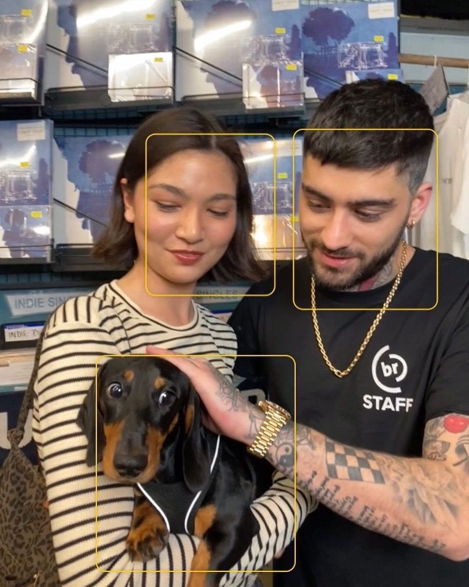 ZaynReport's tweet photo. Zayn petting a fan’s puppy 🥹❤️ https://t.co/Q3ppLlfRYj