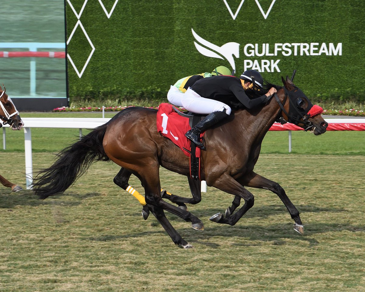 Gulfstream Park (@gulfstreampark) on Twitter photo Saucy Six surges late to upset the finale, <a href="/HectorDiazjr4/">Hector Diaz jr</a> is the winning rider, and Rachael Keithan is the winning trainer. #GulfstreamPark #RoyalPalmMeet Saucy Six surges late to upset the finale, <a href="/HectorDiazjr4/">Hector Diaz jr</a> is the winning rider, and Rachael Keithan is the winning trainer. #GulfstreamPark #RoyalPalmMeet