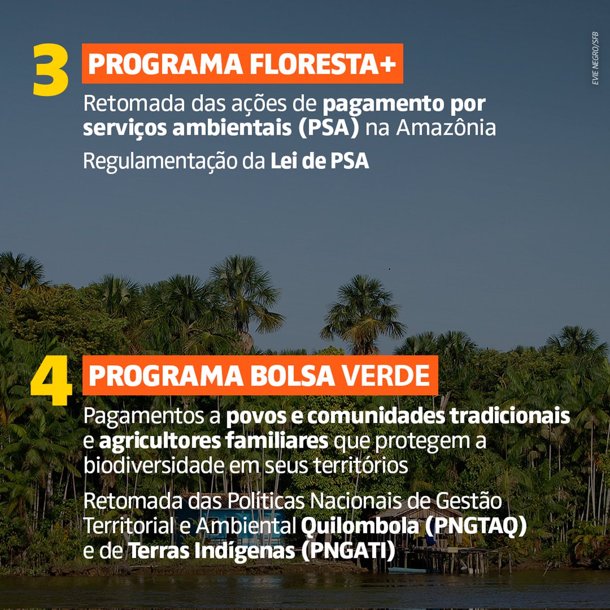 1. Queda de 50% do desmatamento na Amazônia em 2023. 2. Retomada da criação de Unidades de Conservação e Terras Indígenas. 3 e 4. Programas Floresta+ e Bolsa Verde, políticas de pagamento por serviços ambientais e de proteção a povos e comunidades tradicionais. +