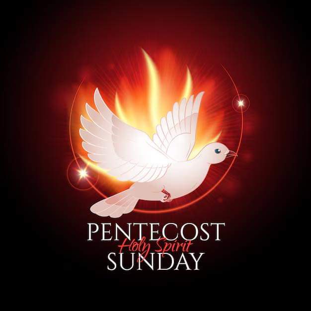 Sunday Blessings #WVHP 
#SundayVibes #SundayWorship #SundayMotivation #SundayBlessings #SundayBlessing #Sunday #SundayThoughts #SundayPrayer #Pentecost #PentecostSunday
