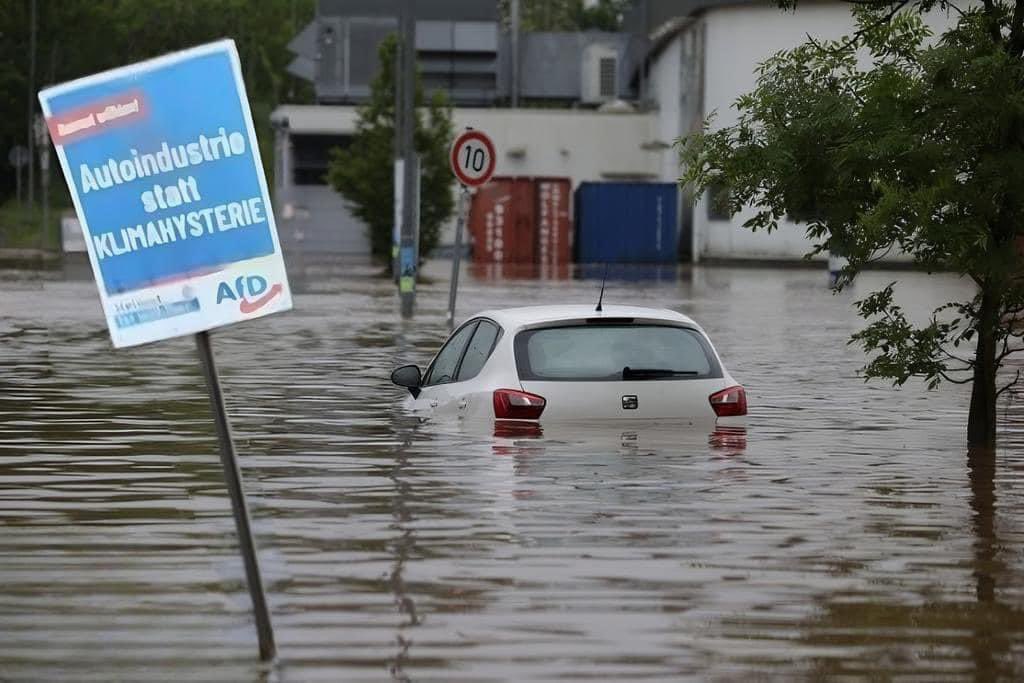 Das Bild der Woche #fckafd