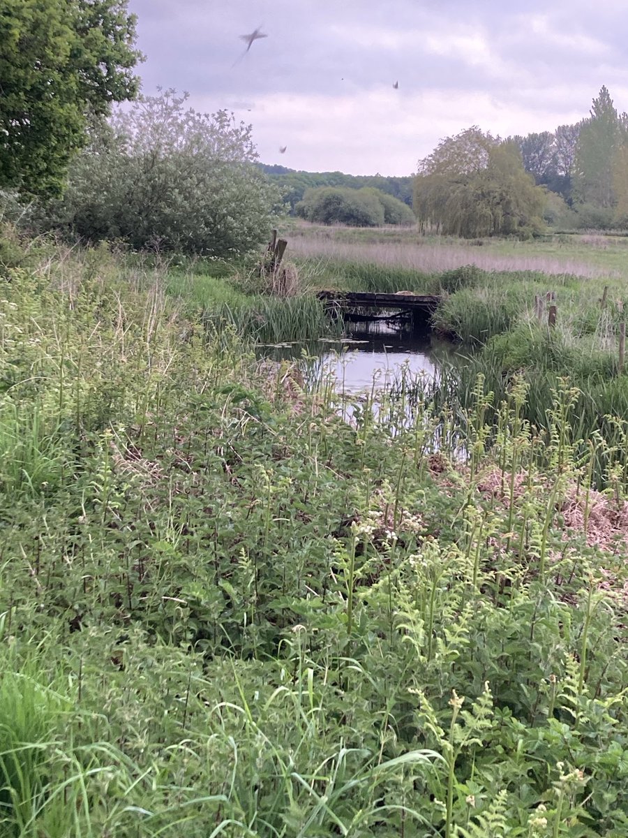 The Wensum Valley is a public amenity. Come and walk around its ancient footpaths: marvel at its beauty and tranquility. Then, wonder if any of the planners have actually walked their talk. In particular the revision - made without public consultation - will be ruinous.