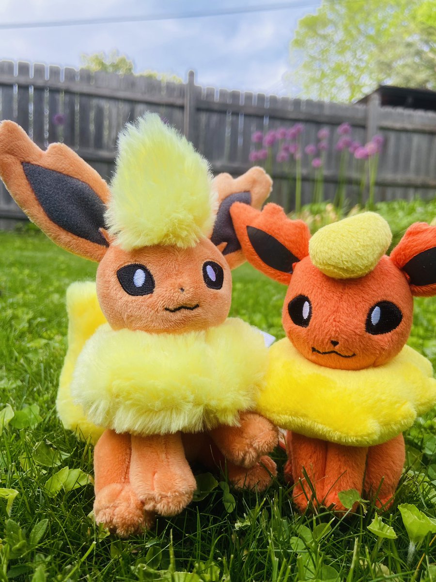 anni3magic's tweet image. got jumped by 2 eevees today, they stole my firestones 🤭🧡