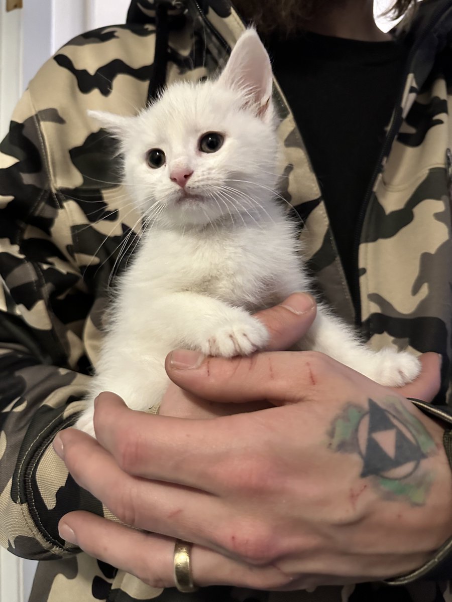 Jessica Fenstamaker tweet media