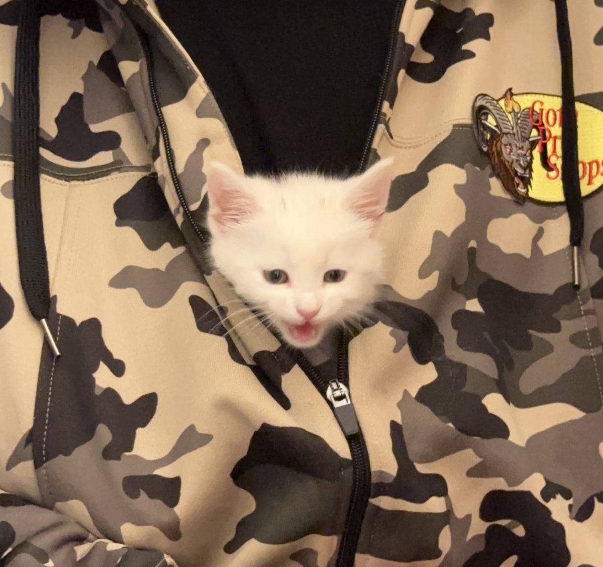 Jessica Fenstamaker tweet media