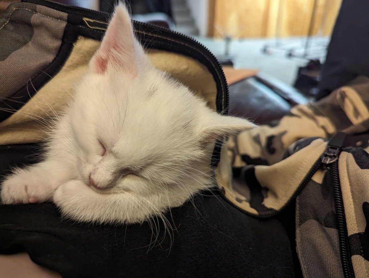 Newest addition to the fam🥹