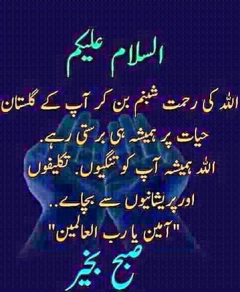 Shahid Hammad tweet media